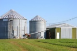 Tract 1 - 80.8 Surveyed Acres