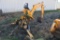 Arps 730 3-pt. backhoe