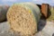 (30) 5'x6' net-wrapped corn stalk bales