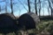 (12) large round bales of 2020 grass hay