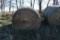 (12) large round bales of 2020 grass hay
