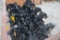 (10) Kinze row units as pictured