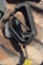 (2) C clamps