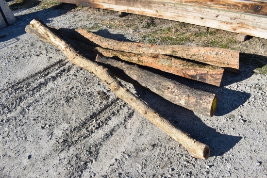 (4) 10' hedge posts