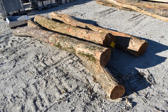 (4) 10' hedge posts