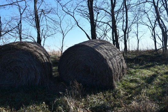 (12) large round bales of 2020 grass hay