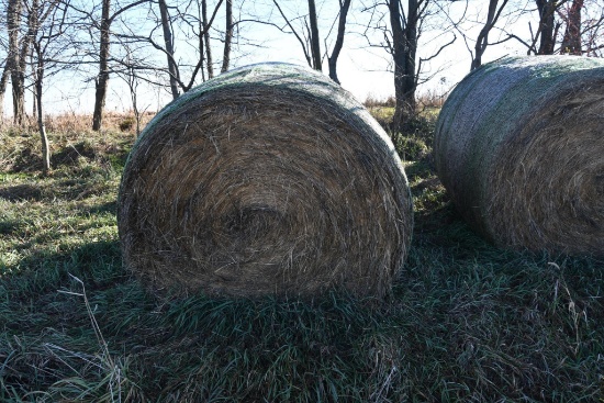 (12) large round bales of 2020 grass hay