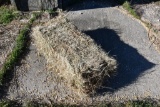 (500) small square bales of 2020 grass hay