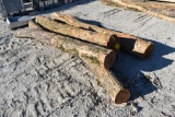 (4) 10' hedge posts