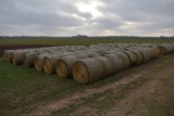 (8) large round bales of oat hay