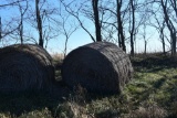 (12) large round bales of 2020 grass hay