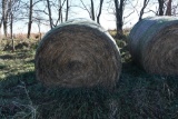 (12) large round bales of 2020 grass hay