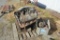 7.3L diesel engine