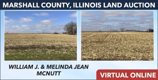 Marshall County, IL Land Auction - McNutt