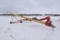 Westfield MK100-71 10