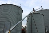 Grain transfer auger