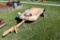 Allis-Chalmers 10' pull-type trailer