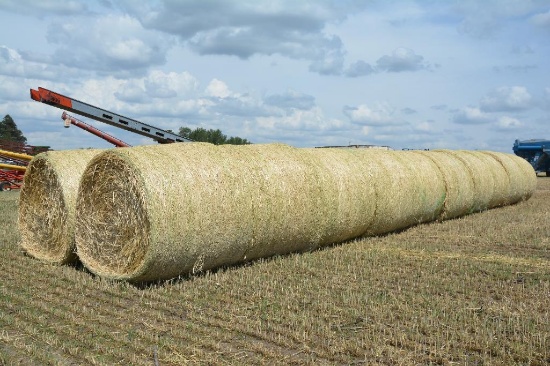 (20) Rye round bales