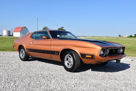 1973 Ford Mustang Mach 1 Fastback