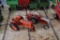 Allis Chalmers and Ford tractors