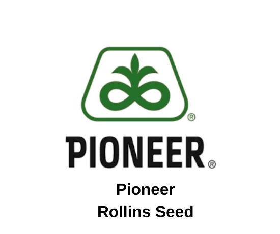 Pioneer Seed Corn