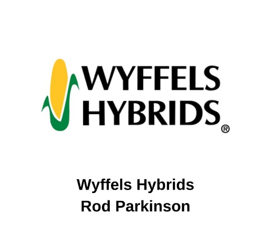 Wyffels Hybrids Seed Corn