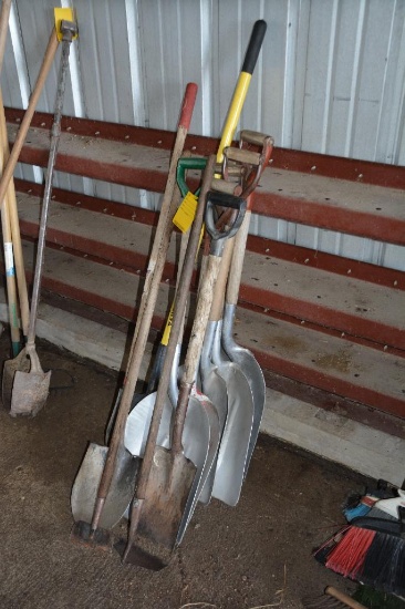 Selection of long handled tools