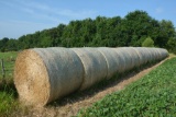 (16) Big round bales of straw