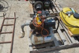 Wayne shallow well pump