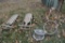 Vintage bicycle, 2 runner sleds, and hubcaps