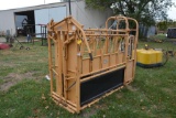 Foremost 30 head gate w/ palpation cage