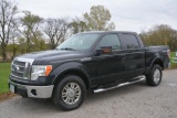 2010 Ford F-150 pickup
