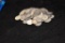 $10.00 FACE VALUE ROOSEVELT SILVER DIMES