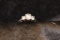 aw 14k CZ ring