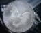 2010 SILVER EAGLE