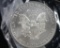 2009 SILVER EAGLE