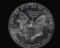 1986 SILVER EAGLE