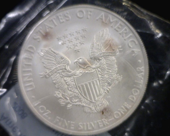 2008 SILVER EAGLE