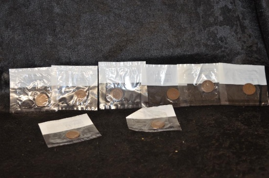 (8) INDIAN HEAD CENTS