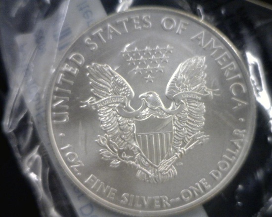 2009 SILVER EAGLE