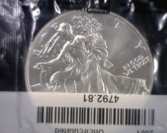 2001 SILVER EAGLE
