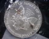 1991 SILVER EAGLE