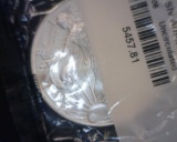 2006 SILVER EAGLE