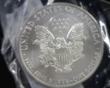 2009 SILVER EAGLE