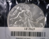 2001 SILVER EAGLE