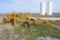Cat pull-type road grader
