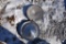 (4) Automotive Hubcaps