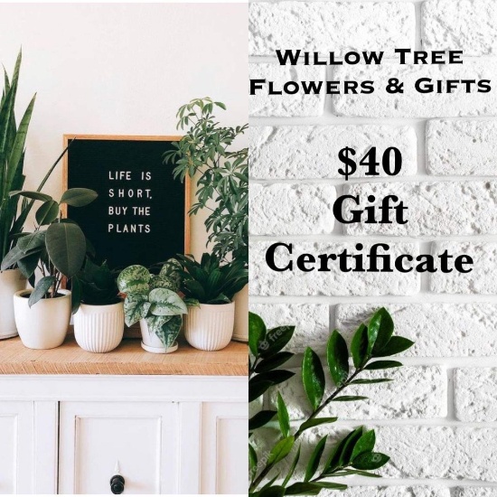 $40 Gift Card to Willow Tree Flowers & Gifts