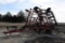Case-IH Tigermate 38.5' field cultivator