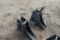 Case-IH tier 3 saddle tank mounts